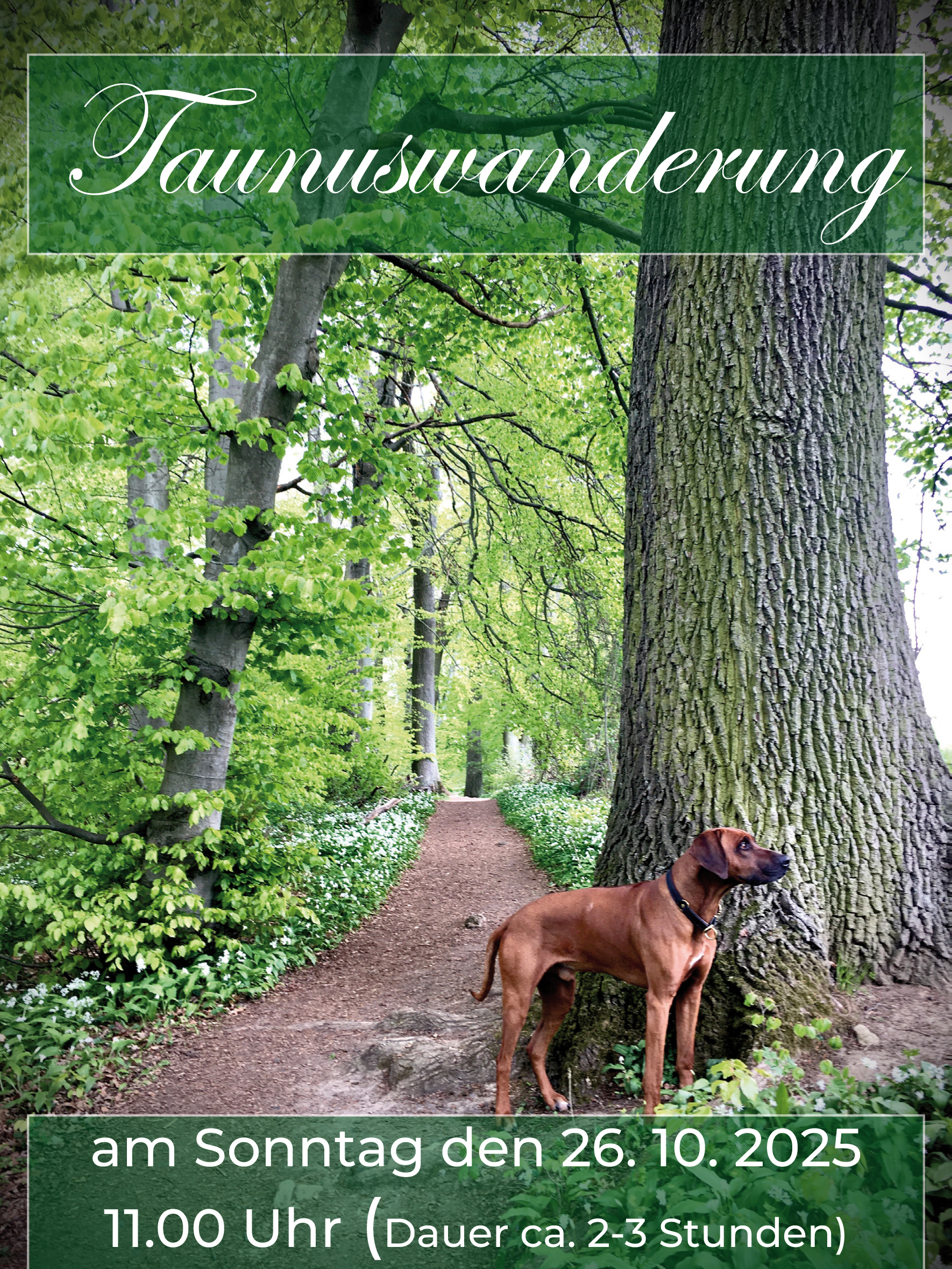 taunuswanderung2